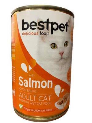 Bestpet Somonlu Jöleli Yetişkin Kedi Konservesi 400 Gr Bestpet Somonlu Jöleli Yetişkin Kedi Konservesi 400 Gr