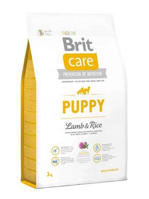 Brit Care Puppy Kuzulu Ve Pirinçli Yavru Köpek Maması 3 Kg Brit Care Puppy Kuzulu Ve Pirinçli Yavru Köpek Maması 3 Kg