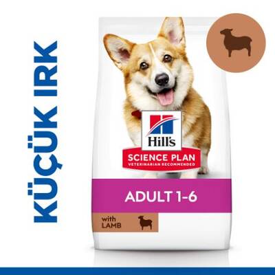 Hills Adult Small Küçük Irk Kuzulu Yetişkin Köpek Maması 6 Kg Hills Adult Small Küçük Irk Kuzulu Yetişkin Köpek Maması 6 Kg