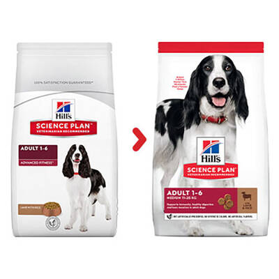Hills Kuzu Etli Orta Irk Yetişkin Köpek Maması 2,5 Kg Hills Kuzu Etli Orta Irk Yetişkin Köpek Maması 2,5 Kg