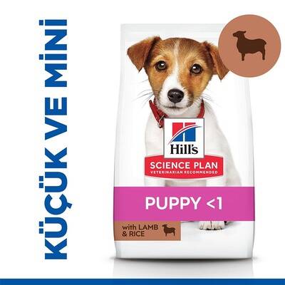 Hills Puppy Kuzulu ve Pirinçli Küçük Irk Yavru Köpek Maması 6 kg Hills Puppy Kuzulu ve Pirinçli Küçük Irk Yavru Köpek Maması 6 kg