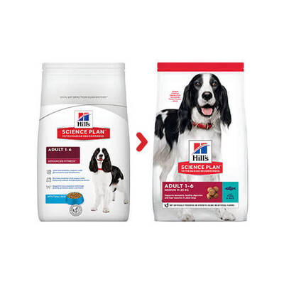 Hills Ton Balıklı Yetişkin Köpek Maması 2,5 Kg Hills Ton Balıklı Yetişkin Köpek Maması 2,5 Kg