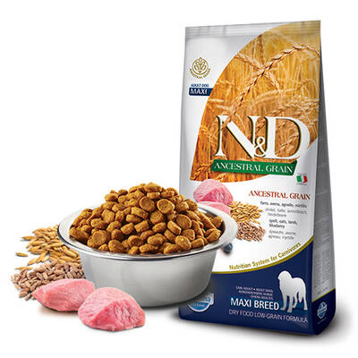 N&D Kuzu Etli ve Yaban Mersinli Orta ve Büyük Irk Tahıllı Yetişkin Köpek Maması 12 Kg N&D Kuzu Etli ve Yaban Mersinli Orta ve Büyük Irk Tahıllı Yetişkin Köpek Maması 12 Kg