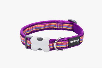Red Dingo Dreamstream Desenli Mor Köpek Boyun Tasması 15mm Red Dingo Dreamstream Desenli Mor Köpek Boyun Tasması 15mm