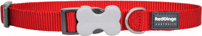 Red Dingo Klasik Kırmızı Köpek Boyun Tasması 12mm 20-32 cm Red Dingo Klasik Kırmızı Köpek Boyun Tasması 12mm 20-32 cm