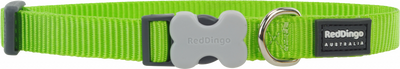 Reddingo Klasik Lime Köpek Boyun Tasması S 15mm 24-36 cm Reddingo Klasik Lime Köpek Boyun Tasması S 15mm 24-36 cm