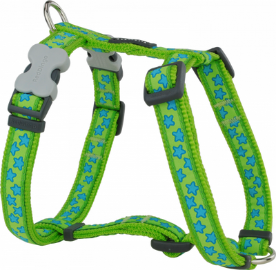Red Dingo Lime Turkuaz Yıldızlı Köpek Göğüs Tasması S 15mm Red Dingo Lime Turkuaz Yıldızlı Köpek Göğüs Tasması S 15mm