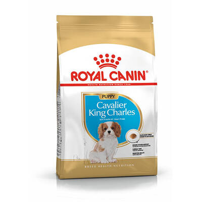 Royal Canin Cavalier King Charles Junior Yavru Köpek Maması 1,5 Kg Royal Canin Cavalier King Charles Junior Yavru Köpek Maması 1,5 Kg