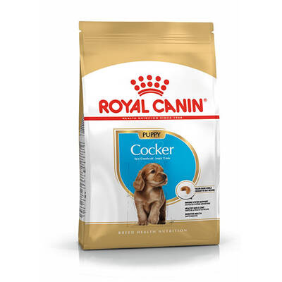 Royal Canin Cocker Junior Yavru Köpek Maması 3 Kg Royal Canin Cocker Junior Yavru Köpek Maması 3 Kg