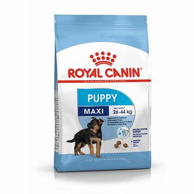 Royal Canin Maxi Junior Büyük Irk Yavru Kuru Köpek Maması 10 Kg Royal Canin Maxi Junior Büyük Irk Yavru Kuru Köpek Maması 10 Kg