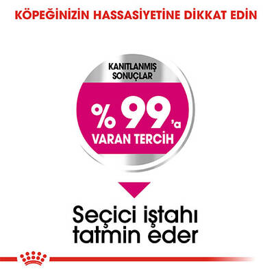 Royal Canin Mini Exigent Yetişkin Köpek Maması 3 Kg Royal Canin Mini Exigent Yetişkin Köpek Maması 3 Kg
