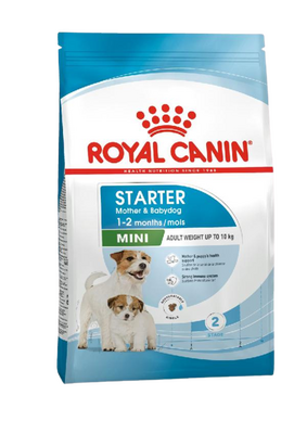 Royal Canin Mini Starter Küçük Irk Yavru Köpek Maması 4 Kg Royal Canin Mini Starter Küçük Irk Yavru Köpek Maması 4 Kg