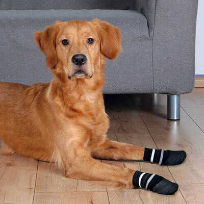 Trixie Köpek Çorabı Kaymaz Xl 2 Adet Siyah