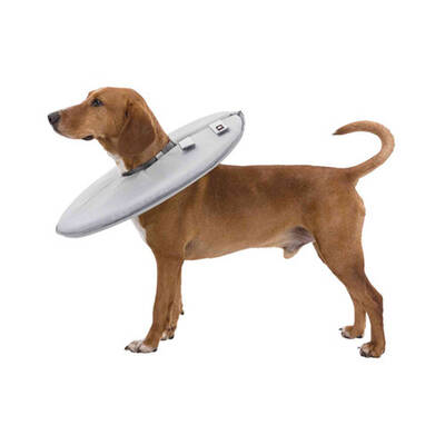 Trixie Köpek Kedi Yakalığı XXS-XS:18-21cm 11cm Griri Trixie Köpek Kedi Yakalığı XXS-XS:18-21cm 11cm Griri