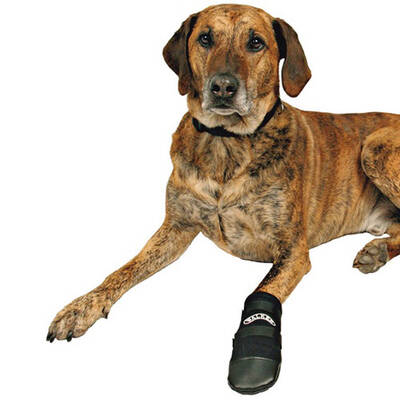 Trixie Köpek Patiği Neopren 2 Adet L Siyah Trixie Köpek Patiği Neopren 2 Adet L Siyah
