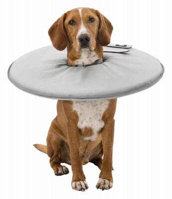 Trixie KöpekKedi Yakalığı XS:23-27cm13cm Gri Trixie KöpekKedi Yakalığı XS:23-27cm13cm Gri