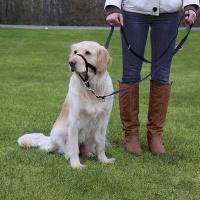 Trixie Uzman Köpek Eğitim Tasması XL 46cm Trixie Uzman Köpek Eğitim Tasması XL 46cm
